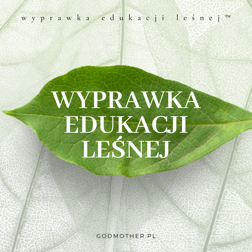 Wyprawka Edukacji Leśnej